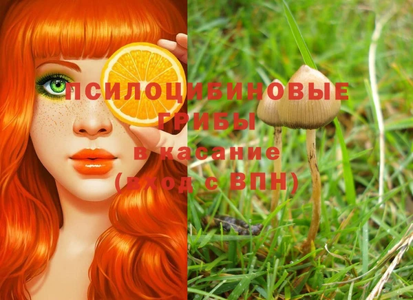 мдпв Беломорск