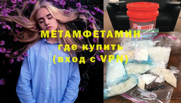 прущие грибы Россошь